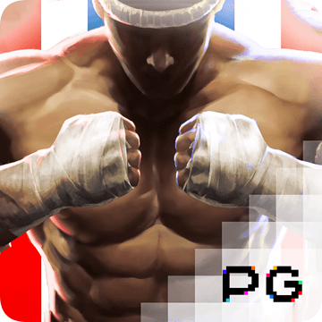 K1体育app