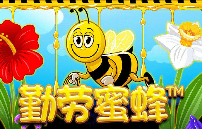 火孤体育下载