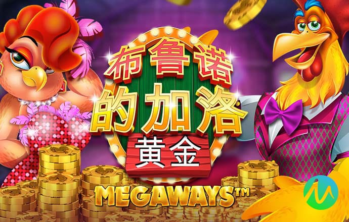 355娱乐彩票app安卓版使用方法